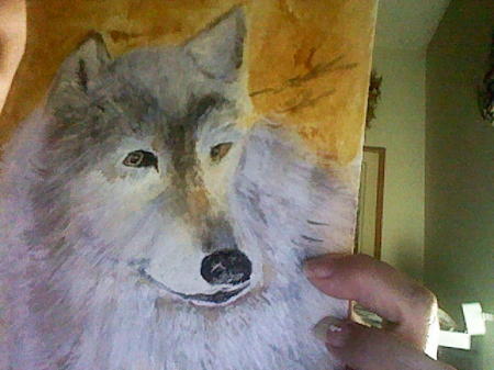 My practice wolf