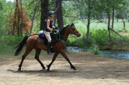 on a 50 mile endurance ride