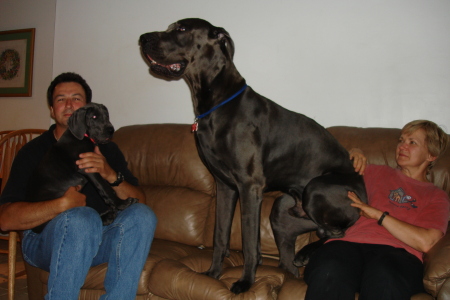 Pete, Little Georgia, and her brother Markus (08/2007)