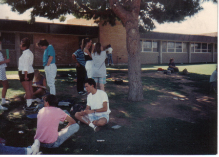 The herd at lunch.