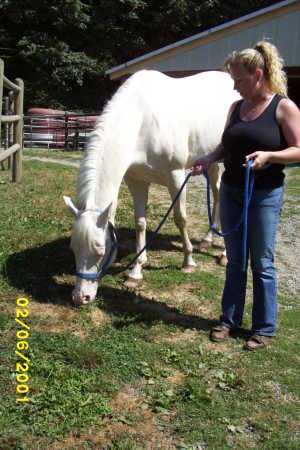 Walking my horse