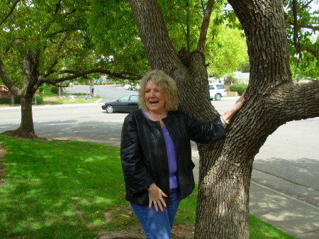 Patty by tree