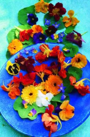 PLATE OF FLOWERS