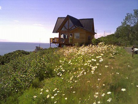 Dovetail Log Cabin