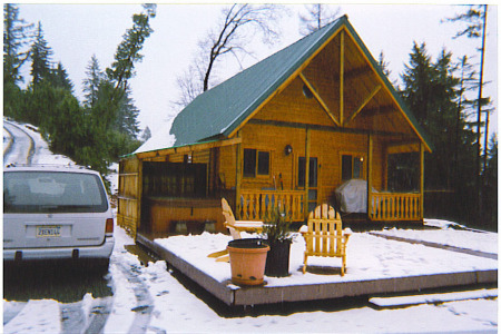 Snow at the Cabin