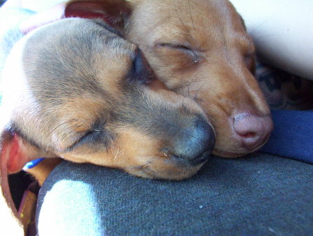 MY BABIES WHEN THEY WERE JUST 3 MONTHS OLD