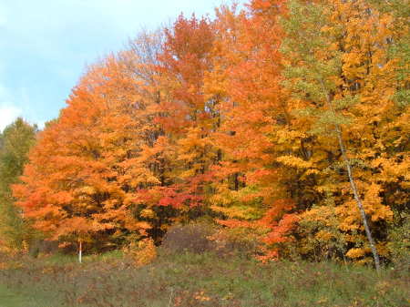 Upper Michigan