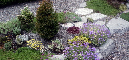 Alpine Garden