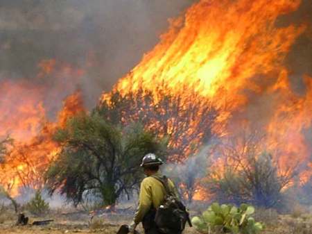 willow creek fire