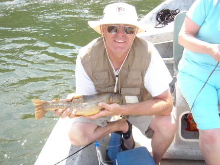 Swan Valley Idaho Trout