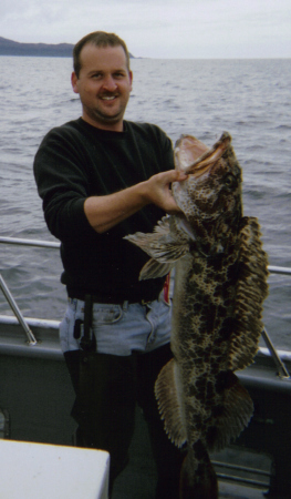 lingcod