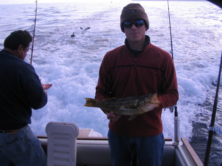 Off Catalina Calico.