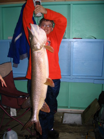 Davids monster pike