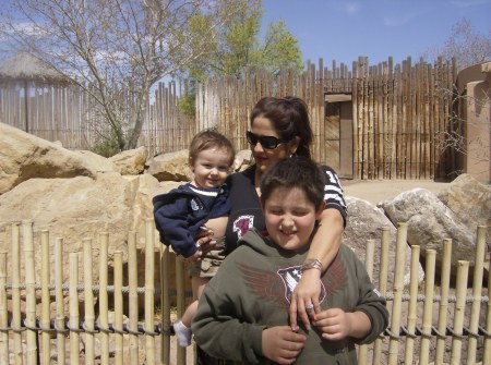 Zoo 2008