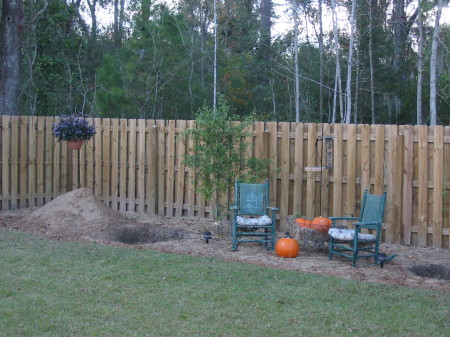 My back yard project