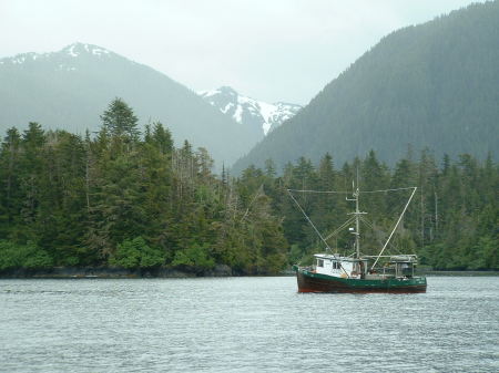 Casey Point in Western Channel