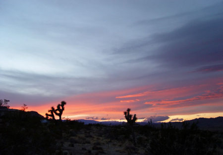 Desert Sunset