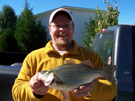 Cumberland River Tennessee Striped Bass