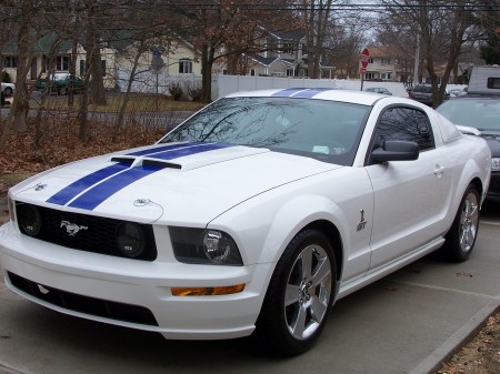 joe's mustang pics 004