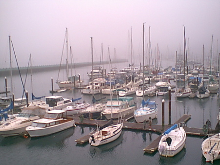 Newport Harbor,Oregon