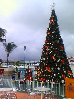 Christmas time in the Bahamas