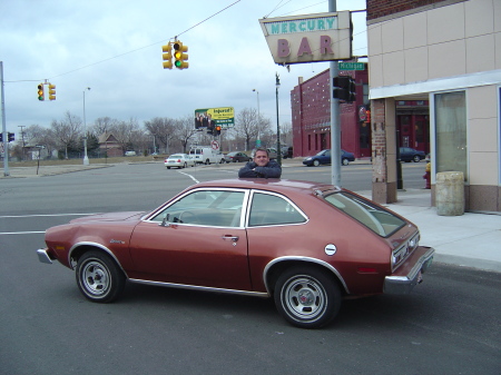 Bobcat in Detroit