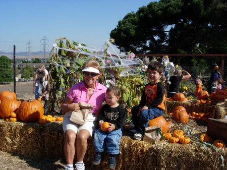 Pumpkin patch 2005