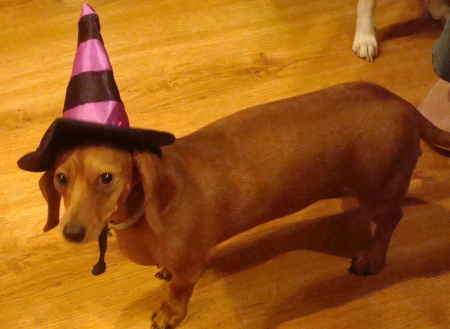 MINNIE IS A WITCH FOR HALLOWEEN