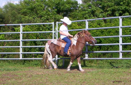 My son Dalton 5yr old riding one of our horses