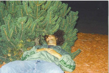 Once upon a tree, my bro fell asleep