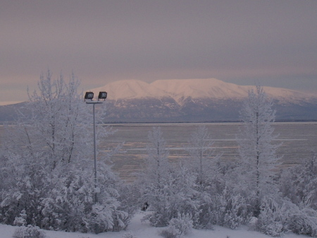 Winter in Anchorage Alaska