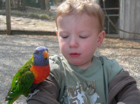 Wyatt  doesn't like this birdie