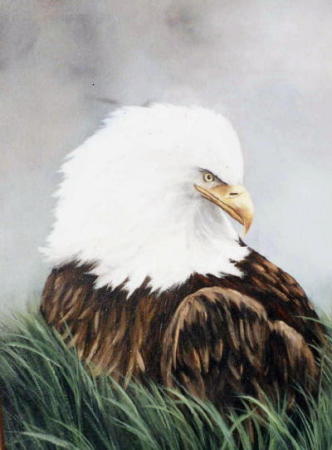 Eagle in grass...Oil  Painting