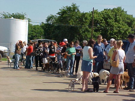 The line for shots!