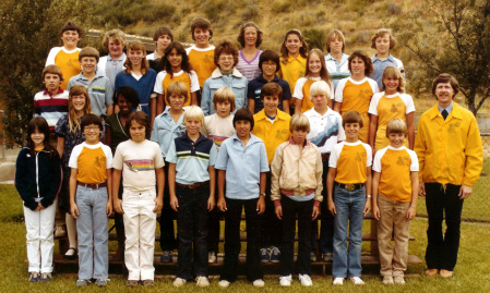 1980 Golden Retrievers