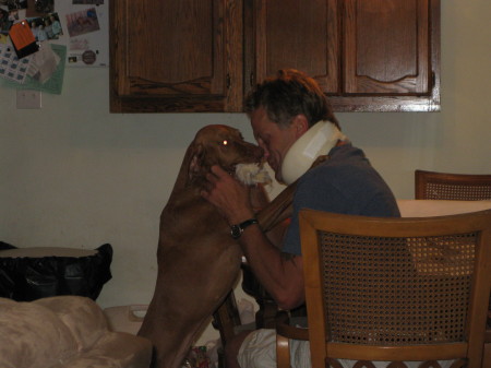 Gabby helping with a toy after neck surgery