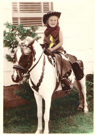 Door to Door horse