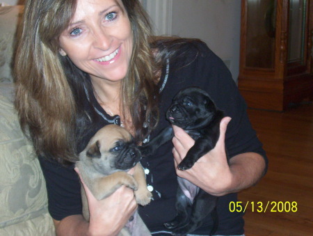 Paula & baby Pugs