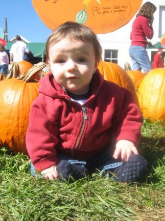 Liam in the Pumpkin Patch