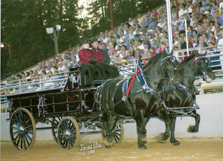 Ladies Team Class, Grass Valley, CA