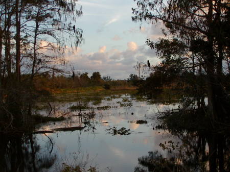 Winters Day in south Florida Boca Raton