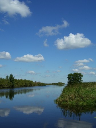 august horicon marsh 07 004