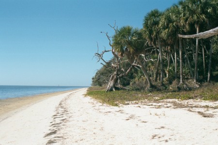 North Key, Cedar Key