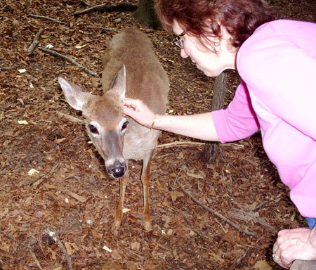 Val with Young Deer