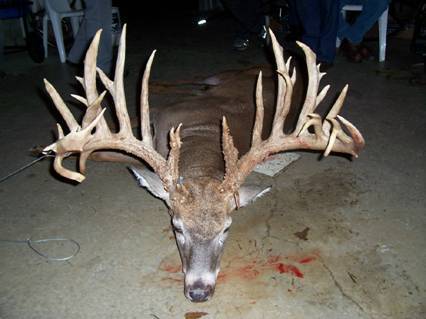 One Big Buck