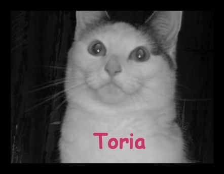 Toria