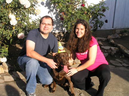 Our first born - Rowdy is our 3 year old Chocolate Lab