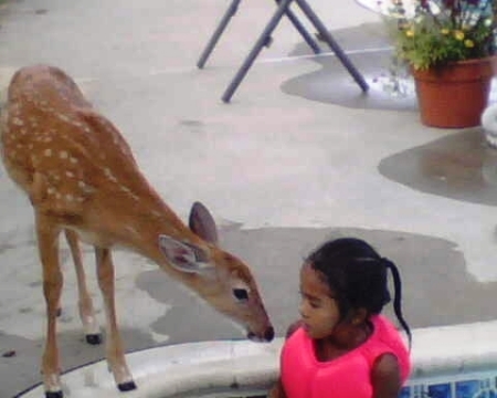 2007 Aug Chloe and Fawn