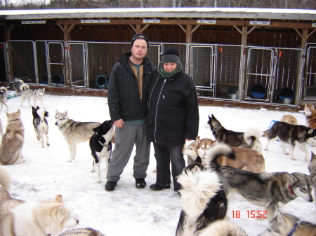 playing with the dogs at haliburton forest