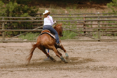 My horse Bud and I in a competition